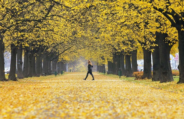 Autumn in Moscow